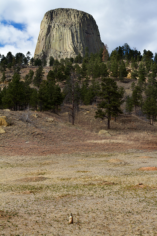 10-07 - 04.jpg - Devils Tower National Monument, WY